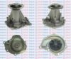 AQUAPLUS 85-5720 Water Pump